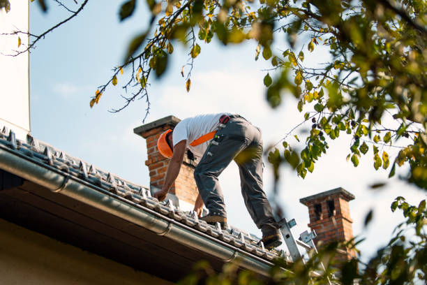 Quick and Trustworthy Emergency Roof Repair Services in Palmyra, NJ