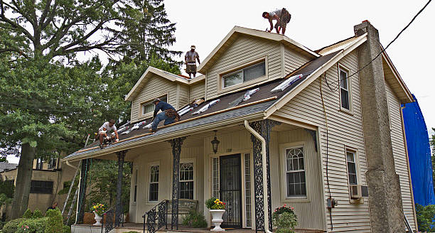 Best Roof Gutter Cleaning  in Palmyra, NJ