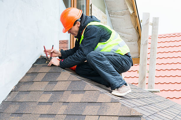 Best Roof Restoration Services  in Palmyra, NJ