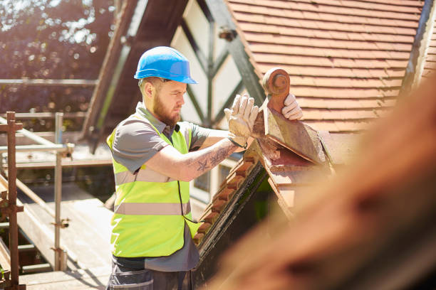 Best Roof Leak Repair  in Palmyra, NJ
